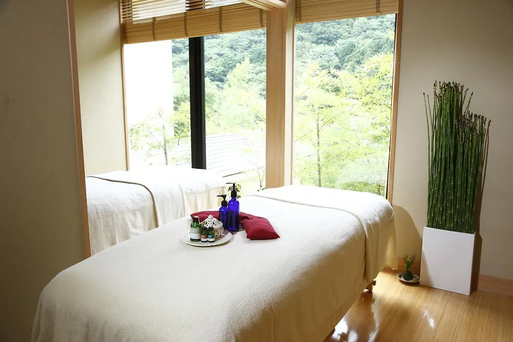 **** Ryokan Hotel Hatsuhana Hakone Japan