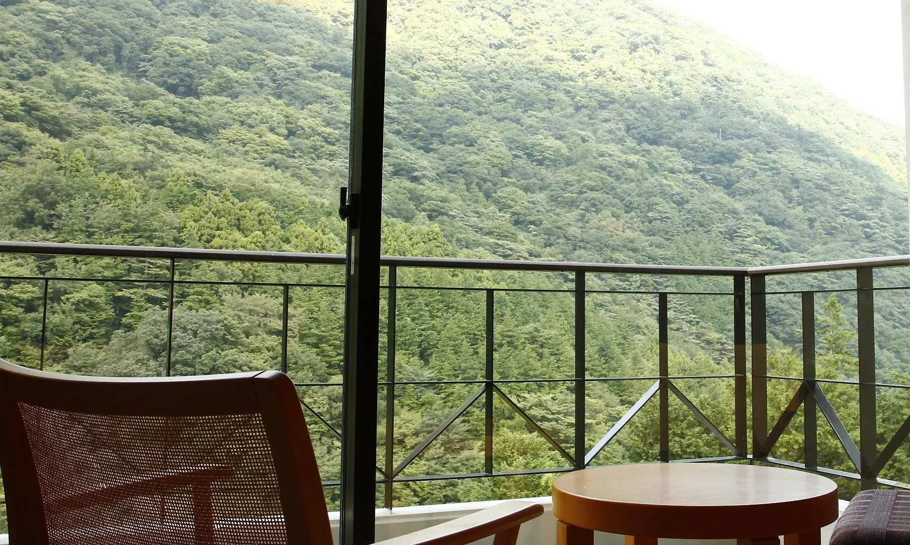 Hotel Hatsuhana Hakone