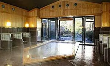 Hotel Hatsuhana Hakone Ryokan