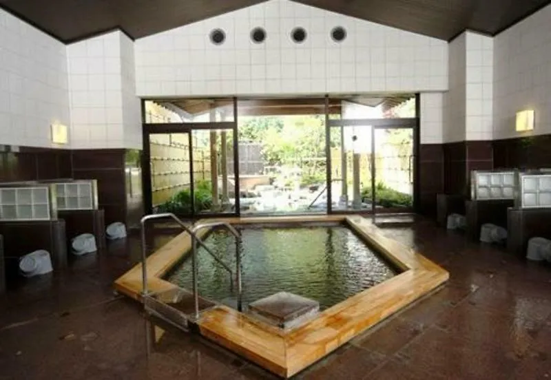 Hotel Hatsuhana Hakone Ryokan